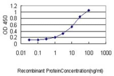 Sandwich ELISA: ASB9 Antibody (1D8) [H00140462-M01] - Detection limit for recombinant GST tagged ASB9 is approximately 0.1ng/ml as a capture antibody.