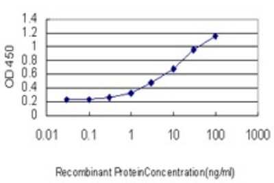 Sandwich ELISA: ASCL1/Mash1 Antibody (3D3) [H00000429-M03] - Detection limit for recombinant GST tagged ASCL1 is approximately 1ng/ml as a capture antibody.