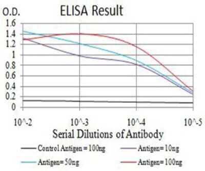 ELISA: ASF1b Antibody (6G7G4) [NBP2-61684] - Black line: Control Antigen (100 ng);Purple line: Antigen (10ng); Blue line: Antigen (50 ng); Red line:Antigen (100 ng)