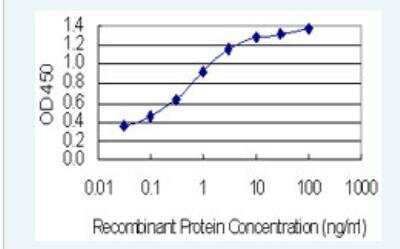 ELISA: ASH1 Antibody (4G12) [H00055870-M01-100ug] - Detection limit for recombinant GST tagged ASH1L is 0.03 ng/ml as a capture antibody.