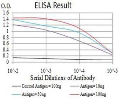 ELISA: ASH2L Antibody (6B10H10) [NBP2-61686] - Black line: Control Antigen (100 ng);Purple line: Antigen (10ng); Blue line: Antigen (50 ng); Red line:Antigen (100 ng)