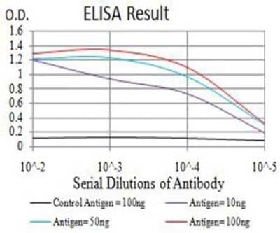 ELISA: ASH2L Antibody (6F6B9) [NBP2-61685] - Black line: Control Antigen (100 ng);Purple line: Antigen (10ng); Blue line: Antigen (50 ng); Red line:Antigen (100 ng)