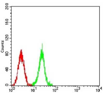 Flow Cytometry: ASH2L Antibody (6F6B9) [NBP2-61685] - Analysis of K562 cells using ASH2L mouse mAb (green) and negative control (red).