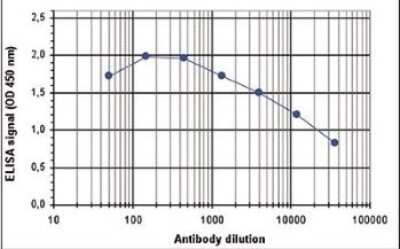 ELISA: ASH2L Antibody [NBP2-59292] - To determine the titer, an ELISA was performed using a serial dilution of the antibody directed against mouse Ash2. The wells were coated with the peptides used for immunisation of the rabbit. By plotting the absorbance against the antibody dilution, the titer of the antibody was estimated to be 1:24,000.