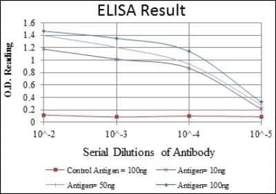 ELISA: ASK1 Antibody (2E4) [NBP2-37592] - Red: Control Antigen (100ng); Purple: Antigen (10ng); Green: Antigen (50ng); Blue: Antigen (100ng);