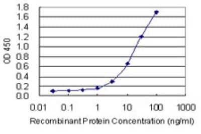 Sandwich ELISA: ASPRV1 Antibody (4H8) [H00151516-M01] - Detection limit for recombinant GST tagged ASPRV1 is 0.3 ng/ml as a capture antibody.