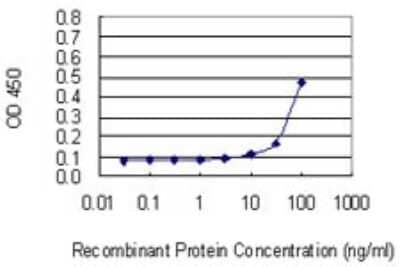 Sandwich ELISA: ATE1 Antibody (2B6) [H00011101-M01] - Detection limit for recombinant GST tagged ATE1 is 3 ng/ml as a capture antibody.