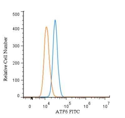 Flow (Intracellular): ATF6 Antibody (70B1413.1) [FITC] [NBP1-40256F] - An intracellular stain was performed on HeLa cells with ATF6 Antibody (70B1413.1) NBP1-40256F (blue) and a matched isotype control (orange). Cells were fixed with 4% PFA and then permeablized with 0.1% saponin. Cells were incubated in an antibody dilution of 10 ug/mL for 30 minutes at room temperature. Both antibodies were conjugated to FITC.