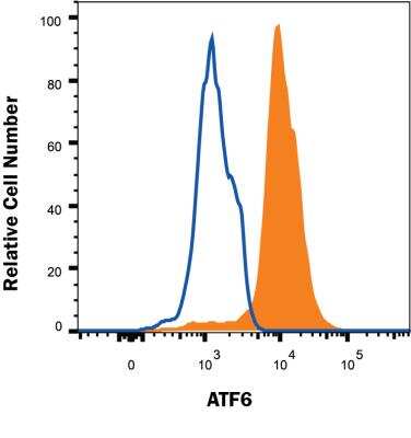 Flow Cytometry: ATF6 Antibody [NBP2-76329] - MCF-7 human breast cancer cell line was stained with Rabbit Anti-Human/Mouse/Rat ATF6 Monoclonal Antibody (Catalog # NBP2-76329, filled histogram) or Rabbit IgG control antibody (Catalog # MAB1050, open histogram) followed by APC-conjugated Anti-Rabbit IgG Secondary Antibody (Catalog # F0111). To facilitate intracellular staining, cells were fixed and permeabilized with FlowX FoxP3 Fixation & Permeabilization Buffer Kit (Catalog # FC012). 