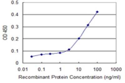 Sandwich ELISA: ATG12 Antibody (1F9) [H00009140-M03] - Detection limit for recombinant GST tagged ATG12 is 1 ng/ml as a capture antibody.