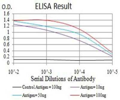 ELISA: ATG2A Antibody (4H8G3) [NBP2-61689] - Black line: Control Antigen (100 ng);Purple line: Antigen (10ng); Blue line: Antigen (50 ng); Red line:Antigen (100 ng)