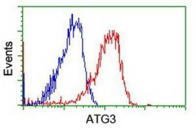 Flow Cytometry: ATG3/APG3 Antibody (OTI3H2) - Azide and BSA Free [NBP2-72140] - Analysis of Hela cells, using anti-Apg3 antibody, (Red), compared to a nonspecific negative control antibody (Blue).