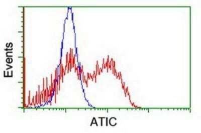 Flow Cytometry: ATIC Antibody (OTI1D2) [NBP2-01941] - HEK293T cells transfected with either overexpression plasmid (Red) or empty vector control plasmid (Blue) were immunostained by anti-ATIC antibody, and then analyzed by flow cytometry.