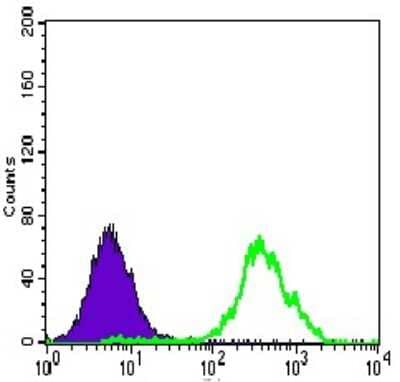 Flow Cytometry: ATP Citrate Lyase Antibody (5F8D11) [NBP2-37429] - Flow cytometric analysis of HeLa cells using ACLY mouse mAb (green) and negative control (purple).