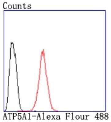 Flow Cytometry: ATP5A Antibody (JM110-04) [NBP2-67170] - Analysis of Hela cells with ATP5A1 antibody at 1/50 dilution (red) compared with an unlabelled control (cells without incubation with primary antibody; black). Alexa Fluor 488-conjugated goat anti rabbit IgG was used as the secondary antibody.