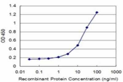 Sandwich ELISA: ATP5J Antibody (2F4) [H00000522-M02] - Detection limit for recombinant GST tagged ATP5J is approximately 1ng/ml as a capture antibody.