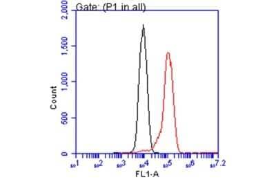 <b>Genetic Strategies Validation. </b>Flow Cytometry: ATP6V1A Antibody (GT1561) [NBP3-13542] - ATP6V1A antibody [GT1561] (NBP3-13542) detects ATP6V1A protein by flow cytometry analysis. Sample: HepG2 cell. Black: Unlabelled sample was used as a control. Red: ATP6V1A antibody [GT1561] (NBP3-13542) dilution: 1:50. Acquisition of 20,000 events were collected for FACS analysis.