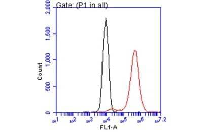 Flow Cytometry: ATP6V1A Antibody (GT3846) [NBP3-13540] - ATP6V1A antibody [GT3846] (NBP3-13540) detects ATP6V1A protein by flow cytometry analysis. Sample: HepG2 cell. Black: Unlabelled sample was used as a control. Red: ATP6V1A antibody [GT3846] (NBP3-13540) dilution: 1:50. Acquisition of 20,000 events were collected for FACS analysis.