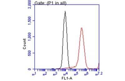 Flow Cytometry: ATP6V1A Antibody (GT811) [NBP3-13541] - ATP6V1A antibody [GT811] (NBP3-13541) detects ATP6V1A protein by flow cytometry analysis. Sample: HepG2 cell. Black: Unlabelled sample was used as a control. Red: ATP6V1A antibody [GT811] (NBP3-13541) dilution: 1:50. Acquisition of 20,000 events were collected for FACS analysis.