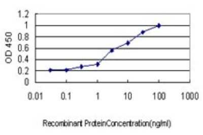 Sandwich ELISA: ATP6V1C2 Antibody (3D5) [H00245973-M01] - Detection limit for recombinant GST tagged ATP6V1C2 is approximately 0.03ng/ml as a capture antibody.