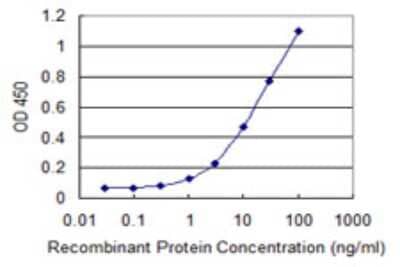 Sandwich ELISA: ATP8B4 Antibody (4D5) [H00079895-M08] - Detection limit for recombinant GST tagged ATP8B4 is 0.3 ng/ml as a capture antibody.