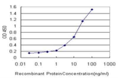 ELISA: ATPase Na+/K+ beta 3 Antibody (2F5) [H00000483-M06] - Detection limit for recombinant GST tagged ATP1B3 is approximately 0.3ng/ml as a capture antibody.