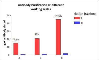 AbPure Magnetic Antibody Purification Kit [265-0200] - Rabbit IgG purification. 20ug (A), 25ug (B) or 50ug (C) rabbit IgG was purified using the AbPure Magnetic Purification System, demonstrating high recoveries in the first elution fraction even at the smallest working scale.