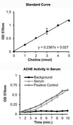 Acetylcholinesterase/ACHE Assay Kit (Colorimetric) [KA3962] - Standard Curve Reference