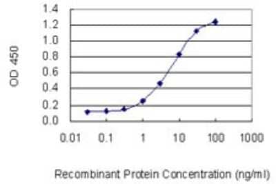 Sandwich ELISA: Acidic Calponin Antibody (4C4) [H00001266-M01] - Detection limit for recombinant GST tagged CNN3 is 0.1 ng/ml as a capture antibody.