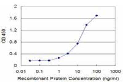 ELISA: Activin RIIB Antibody (1C11) [H00000093-M03] - Detection limit for recombinant GST tagged ACVR2B is approximately 1ng/ml as a capture antibody.