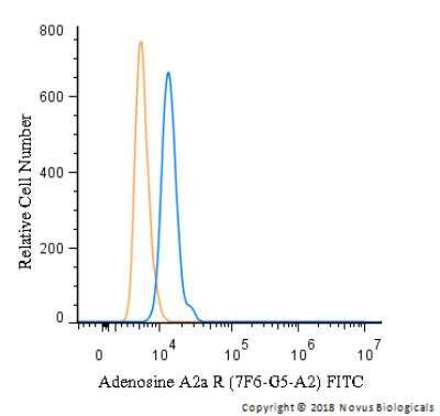 Flow Cytometry: Adenosine A2aR Antibody (7F6-G5-A2) [FITC] [NBP1-39474F] -  An intracellular stain was performed on U-937 cells with Adenosine A2a R (7F6-G5-A2) antibody NBP1-39474F (blue) and a matched isotype control (orange). Cells were fixed with 4% PFA and then permeablized with 0.1% saponin. Cells were incubated in an antibody dilution of 5 ug/mL for 30 minutes at room temperature. Both antibodies were conjugated to FITC.