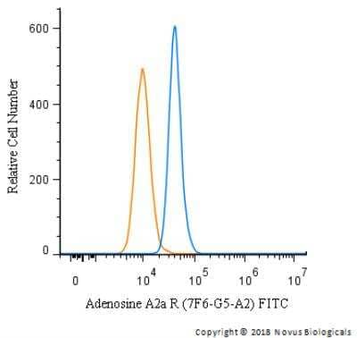 Flow Cytometry: Adenosine A2aR Antibody (7F6-G5-A2) [FITC] [NBP1-39474F] - An intracellular stain was performed on U-87 MG cells with Adenosine A2a R (7F6-G5-A2) antibody NBP1-39474F (blue) and a matched isotype control (orange). Cells were fixed with 4% PFA and then permeablized with 0.1% saponin. Cells were incubated in an antibody dilution of 10 ug/mL for 30 minutes at room temperature. Both antibodies were conjugated to FITC.