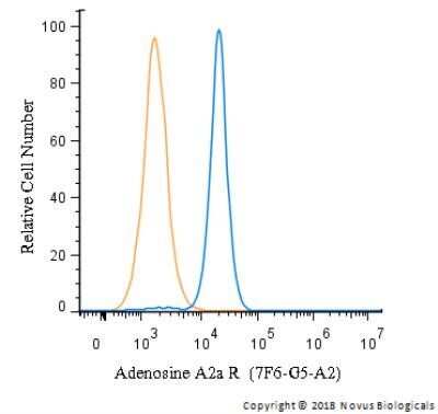 Flow Cytometry: Adenosine A2aR Antibody (7F6-G5-A2) - Azide and BSA Free [NBP2-80562] - An intracellular stain was performed on SH-SY5Y with Adenosine A2a R Antibody (7F6-G5-A2) NBP1-39474 and a matched isotype control. Cells were fixed with 4% PFA and then permeablized with 0.1% saponin. Cells were incubated in an antibody dilution of 1 ug/mL for 30 minutes at room temperature, followed by Mouse F(ab)2 IgG (H+L) PE-conjugated Antibody (R&D Systems, F0102B). Image from the standard format of this antibody.