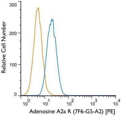 Flow Cytometry: Adenosine A2aR Antibody (7F6-G5-A2) - Azide and BSA Free [NBP2-80562] - Using the PE direct conjugate an intracellular stain was performed on SH-SY5Y cells with Adenosine A2a R (7F6-G5-A2) antibody NBP1-39474PE (blue) and a matched isotype control NB600-986PE (orange). Cells were fixed with 4% PFA and then permeablized with 0.1% saponin. Cells were incubated in an antibody dilution of 1 ug/mL for 30 minutes at room temperature. Both antibodies were directly conjugated to Phycoerythrin (PE).