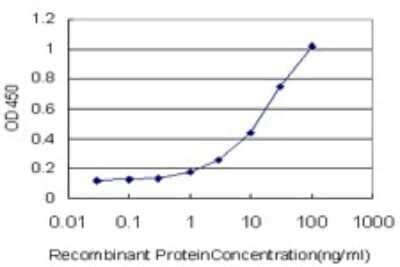 ELISA: Adenylate Cyclase 2 Antibody (1D4) [H00000108-M01] - Detection limit for recombinant GST tagged ADCY2 is approximately 1ng/ml as a capture antibody.