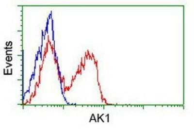 Flow Cytometry: Adenylate Kinase 1 Antibody (OTI4A1) - Azide and BSA Free [NBP2-70123] - HEK293T cells transfected with either overexpression plasmid (Red) or empty vector control plasmid (Blue) were immunostaining by anti-Adenylate Kinase 1 antibody, and then analyzed by flow cytometry.