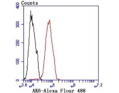 Flow Cytometry: Adenylate Kinase 6 Antibody (B1-F4) [NBP2-67116] - Analysis of MCF-7 cells with AK6 antibody at 1/100 dilution (red) compared with an unlabelled control (cells without incubation with primary antibody; black).