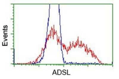 Flow Cytometry: Adenylosuccinate Lyase Antibody (OTI2D10) - Azide and BSA Free [NBP2-70101] - HEK293T cells transfected with either overexpression plasmid (Red) or empty vector control plasmid (Blue) were immunostaining by anti-Adenylosuccinate Lyase antibody, and then analyzed by flow cytometry.