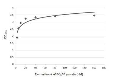 Sandwich ELISA: African Swine Fever Virus p54 Antibody [NBP3-13435] - Sandwich ELISA detection of recombinant African Swine Fever Virus p54 using antibodies as below. Capture: African Swine Fever Virus p54 antibody [GT853] (NBP3-13671) (5 ug/mL) Detection: African Swine Fever Virus p54 antibody (NBP3-13435) (1 ug/mL)