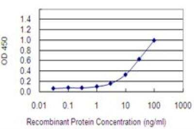 ELISA: Ago2/eIF2C2 Antibody (2E12-1C9) [H00027161-M01] - Detection limit for recombinant GST tagged EIF2C2 is 0.3 ng/ml as a capture antibody.