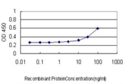 ELISA: Aiolos/IKZF3 Antibody (1D7) [H00022806-M02] - Detection limit for recombinant GST tagged IKZF3 is approximately 10ng/ml as a capture antibody.