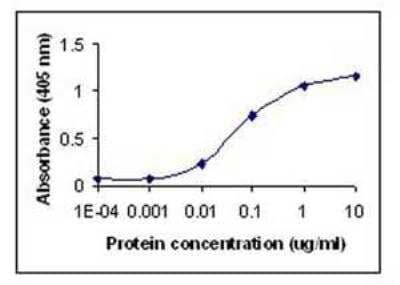 ELISA: Albumin Antibody [NB300-336] - Direct ELISA Test. Human serum albumin protein as test antigen. Affi-pure anti-HSA IgY as primary antibody (0.1 ug/ml), and Rabbit anti-IgY-HRP as 2nd antibody. ( anti-ALB )