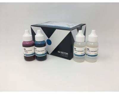 Alcian Blue (pH 2.5) Stain Kit [H-3501-NB]