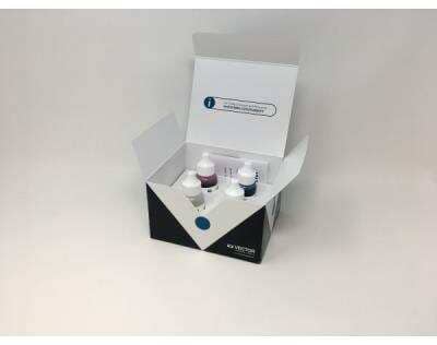 Alcian Blue (pH 2.5) Stain Kit [H-3501-NB]