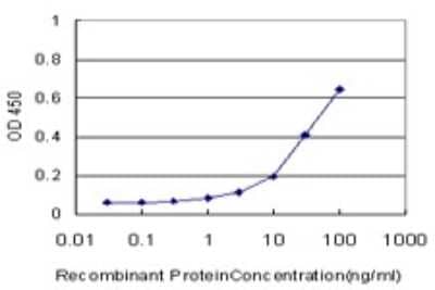 ELISA: Aldehyde Dehydrogenase 3-A1/ALDH3A1 Antibody (2G4) [H00000218-M08] - Detection limit for recombinant GST tagged ALDH3A1 is approximately 1ng/ml as a capture antibody.