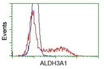 Flow Cytometry: Aldehyde Dehydrogenase 3-A1/ALDH3A1 Antibody (OTI1B6) - Azide and BSA Free [NBP2-70152] - HEK293T cells transfected with either pCMV6-ENTRY ALDH3A1.(Red) or empty vector control plasmid (Blue) were immunostaining with anti-ALDH3A1 mouse monoclonal, and then analyzed by flow cytometry.