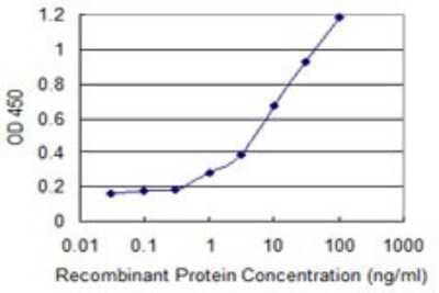 ELISA: Alpha Actinin 4 Antibody (1E10) [H00000081-M02] - Detection limit for recombinant GST tagged ACTN4 is 0.3 ng/ml as a capture antibody.