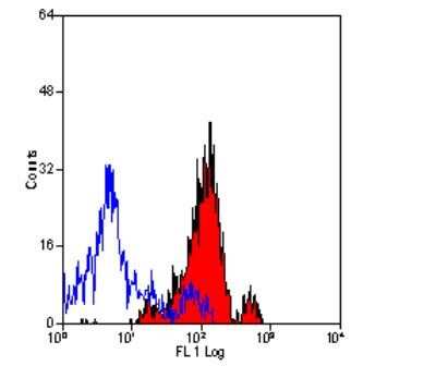 Flow Cytometry: Aminopeptidase N/CD13 Antibody (ER-BMDM1) - Azide and BSA Free [NBP2-80574] - Staining of mouse peripheral blood granulocytes with rat anti-mouse CD13. Image from the standard format of this antibody.