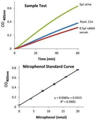 Amylase Assay Kit (Colorimetric) [KA0875] - The standard curve is for the purpose of illustration only and should not be used to calculate unknowns. A standard curve should be generated each time the assay is performed.