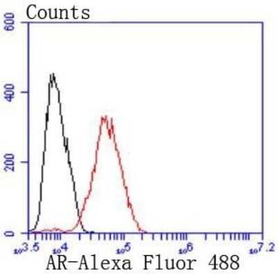 Flow Cytometry: Androgen R/NR3C4 Antibody (ST0453) [NBP2-67497] - Analysis of MCF-7 cells with Androgen receptor antibody at 1/50 dilution (red) compared with an unlabelled control (cells without incubation with primary antibody; black). Alexa Fluor 488-conjugated goat anti rabbit IgG was used as the secondary antibody